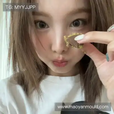 嵇蒙飚